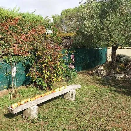 Le clos de la Plage - Résidence touristique 2 étoiles - 500m de la plage Dolus-d'Oléron Extérieur photo